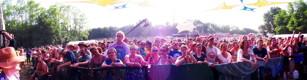 summer44 - Grateful Web