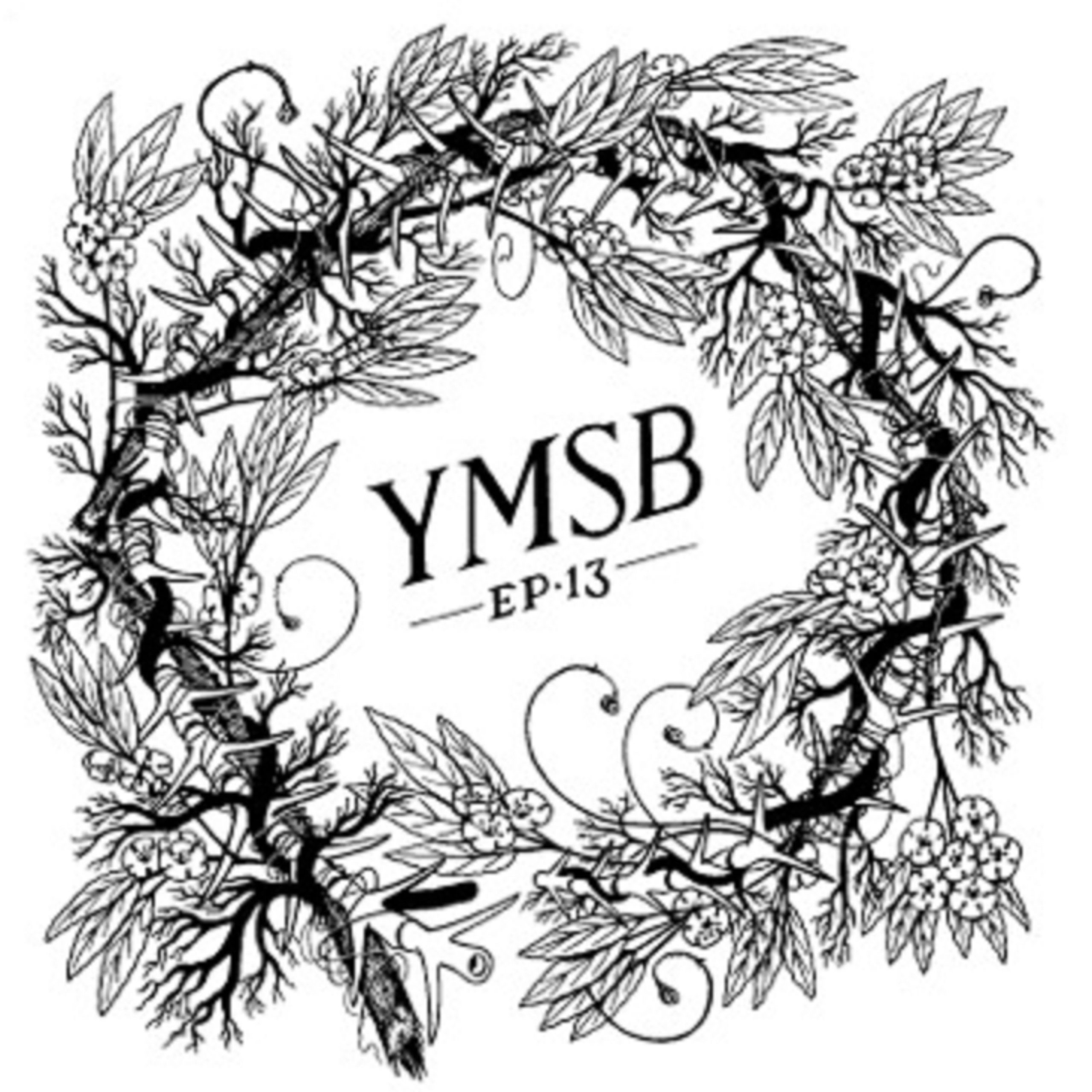 Yonder Mountain String Band | YMSB EP '13 | Review