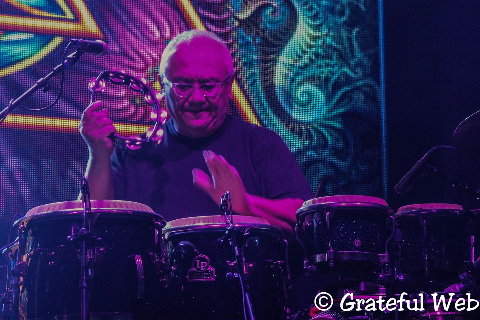 Sunny Ortiz | Widespread Panic