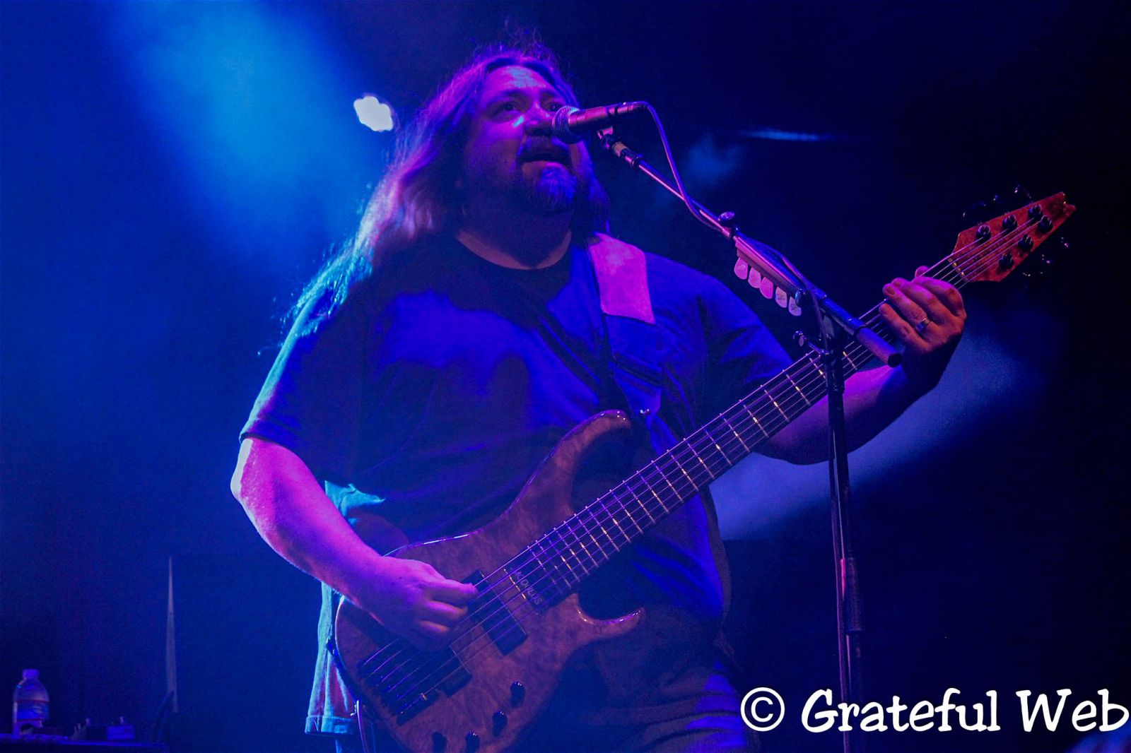 Dave Schools | Widespread Panic