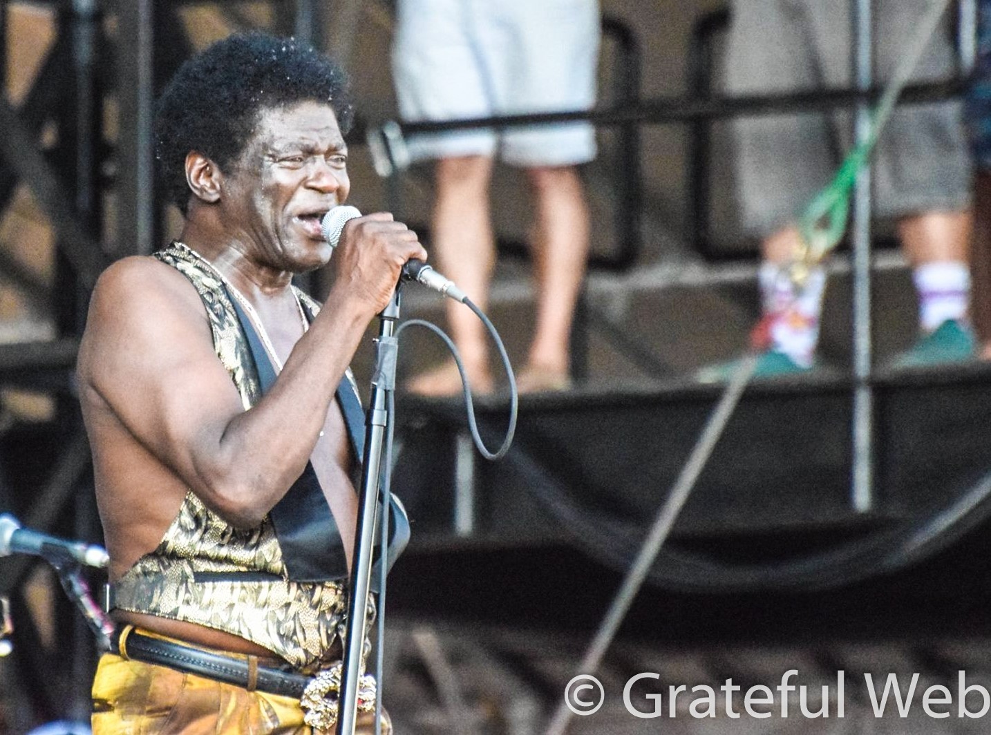 Charles Bradley | Lockn' Festival