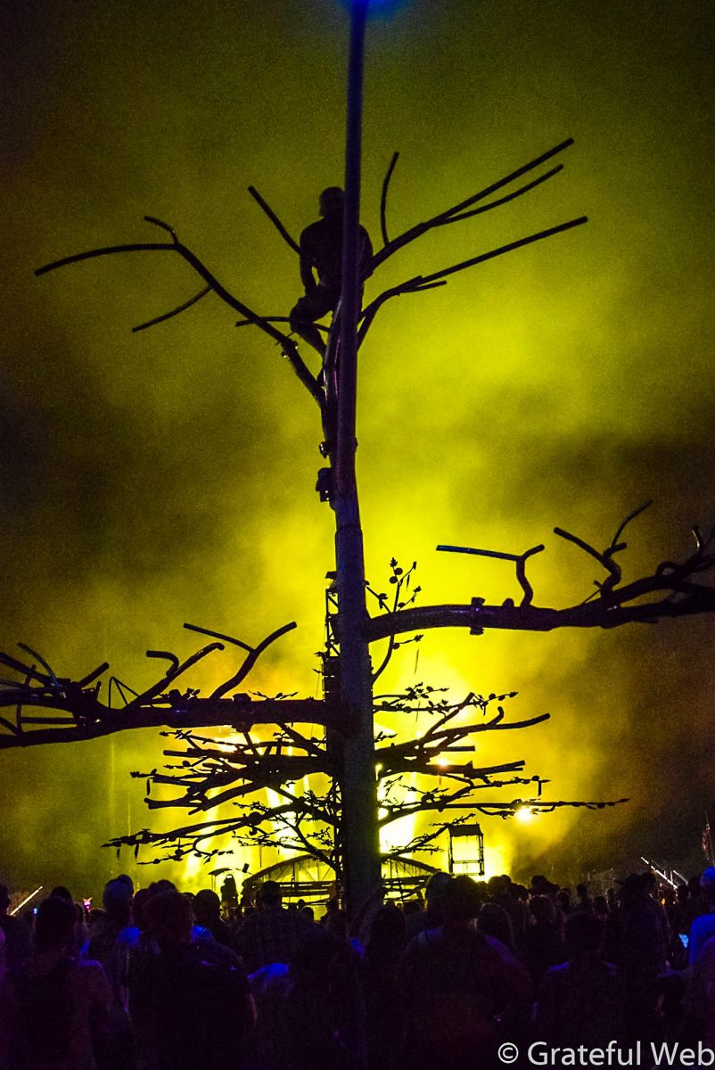 rad view at Lockn'