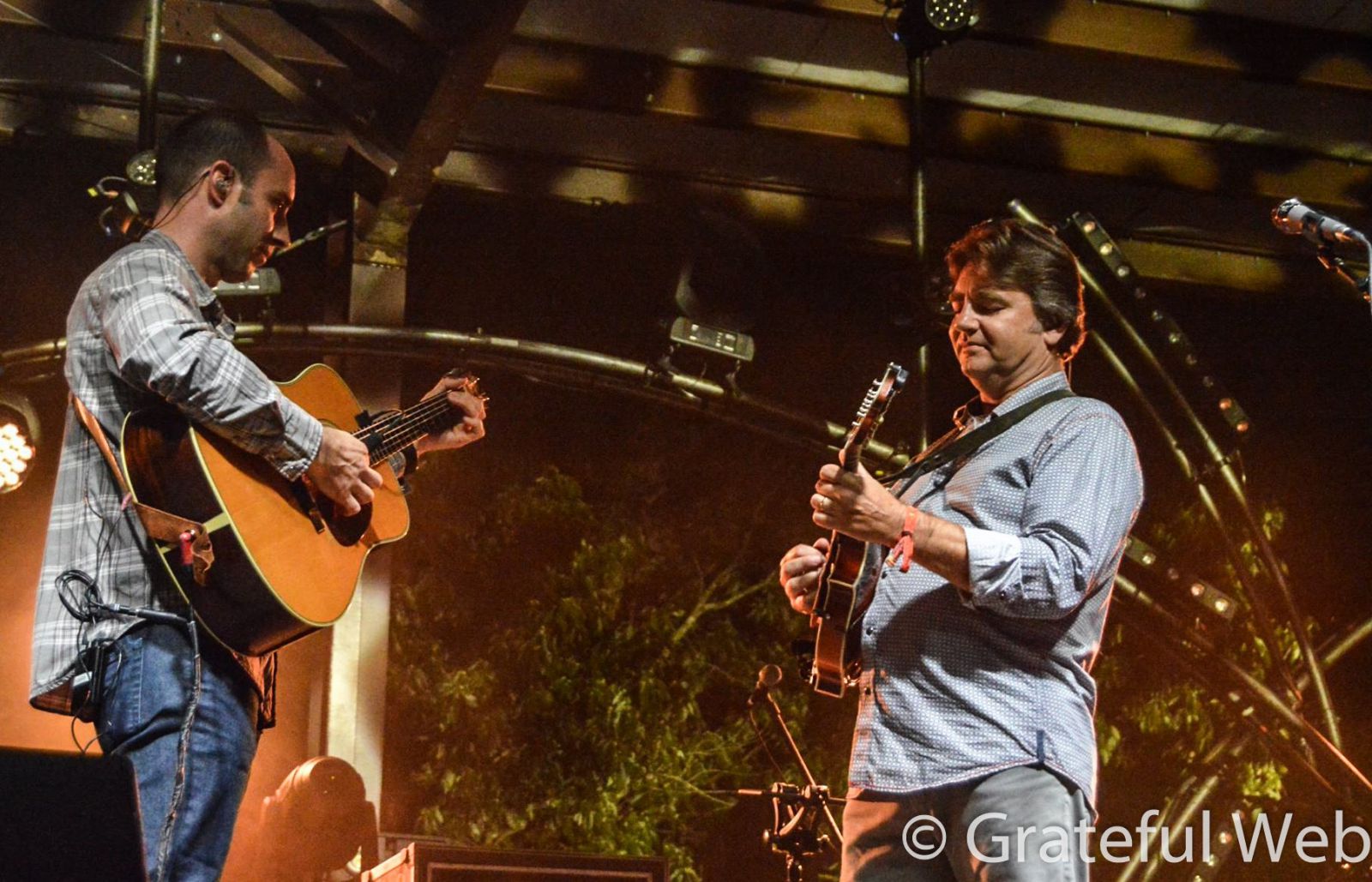 The Travelin McCourys | Hillberry Music Festival