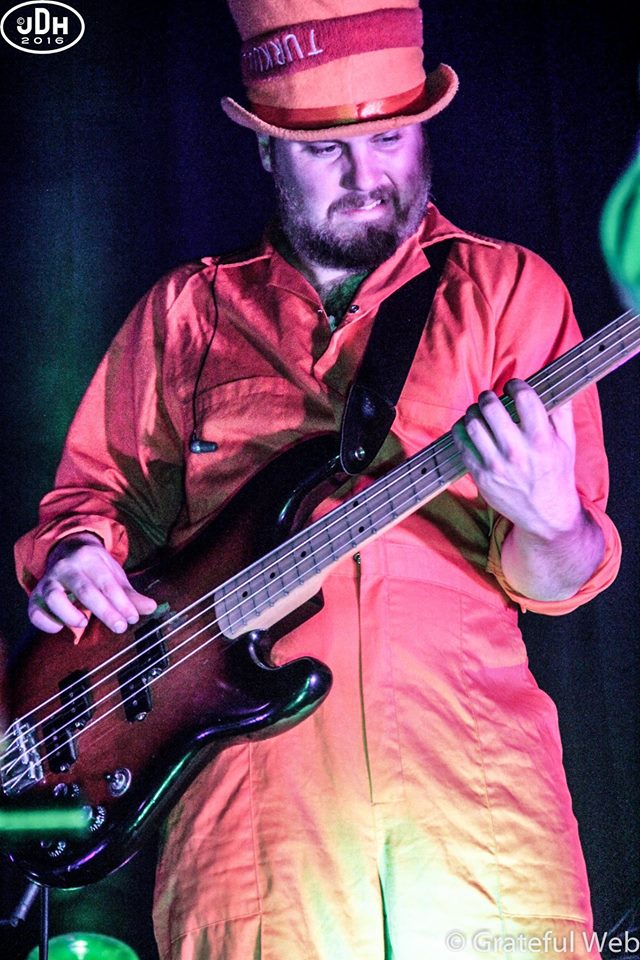 Taylor Shell | Turkuaz