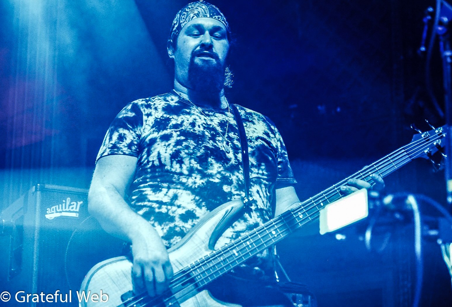 Ben Carrey | Pigeons Playing Ping Pong