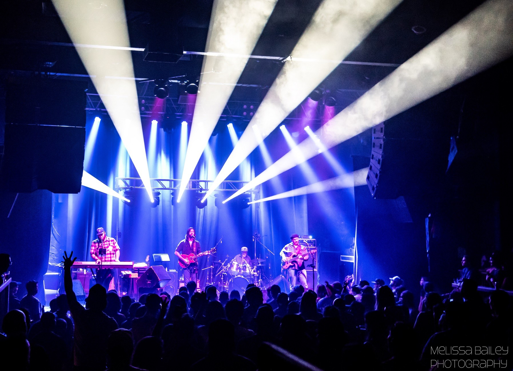 Pink Talking Fish | Boulder, CO