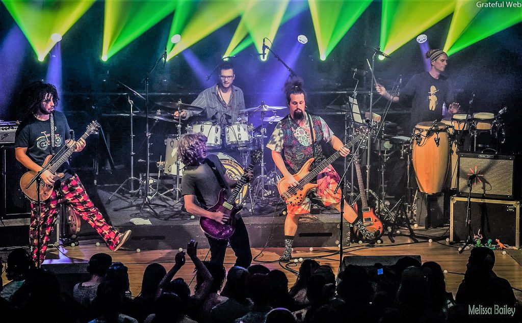 Pigeons Playing Ping Pong To Headline 2 Nights At Boulder Theater