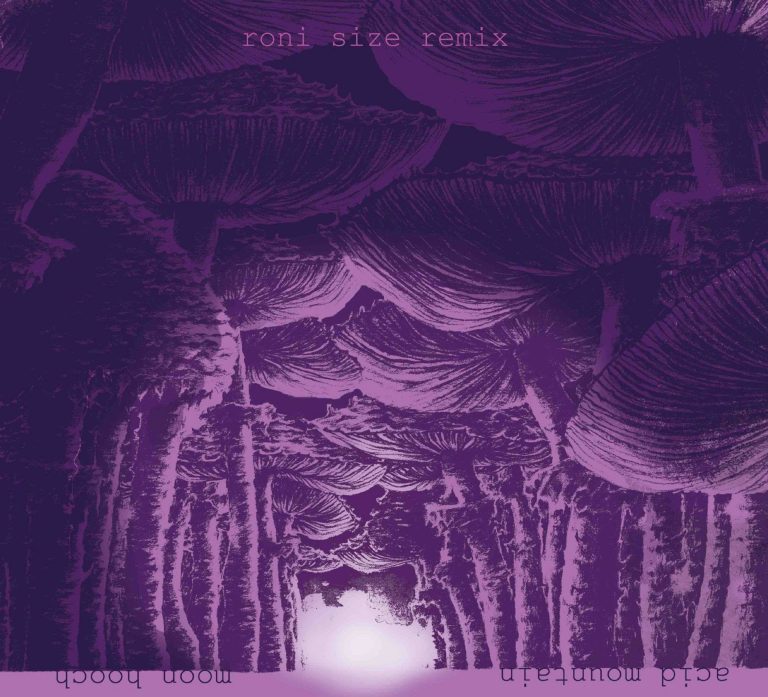 MOON HOOCH Release RONI SIZE Remix Of "ACID MOUNTAIN"