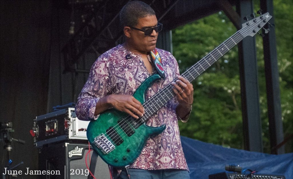 Summer "Damp" 2019: We weathered the storms together