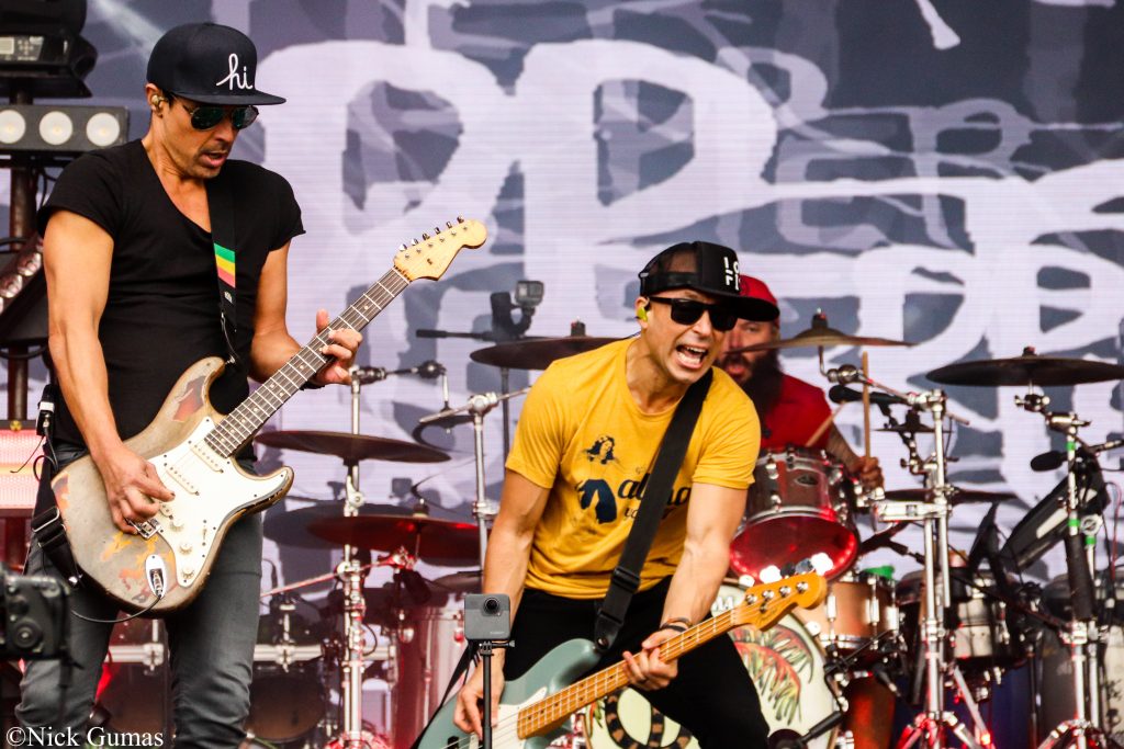 Grateful Web Interview with Pepper