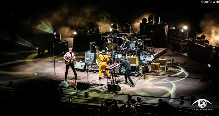 Fruition Announces "Wild As The Night" Tour