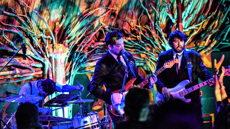 Grateful Web Interview with The Flusters