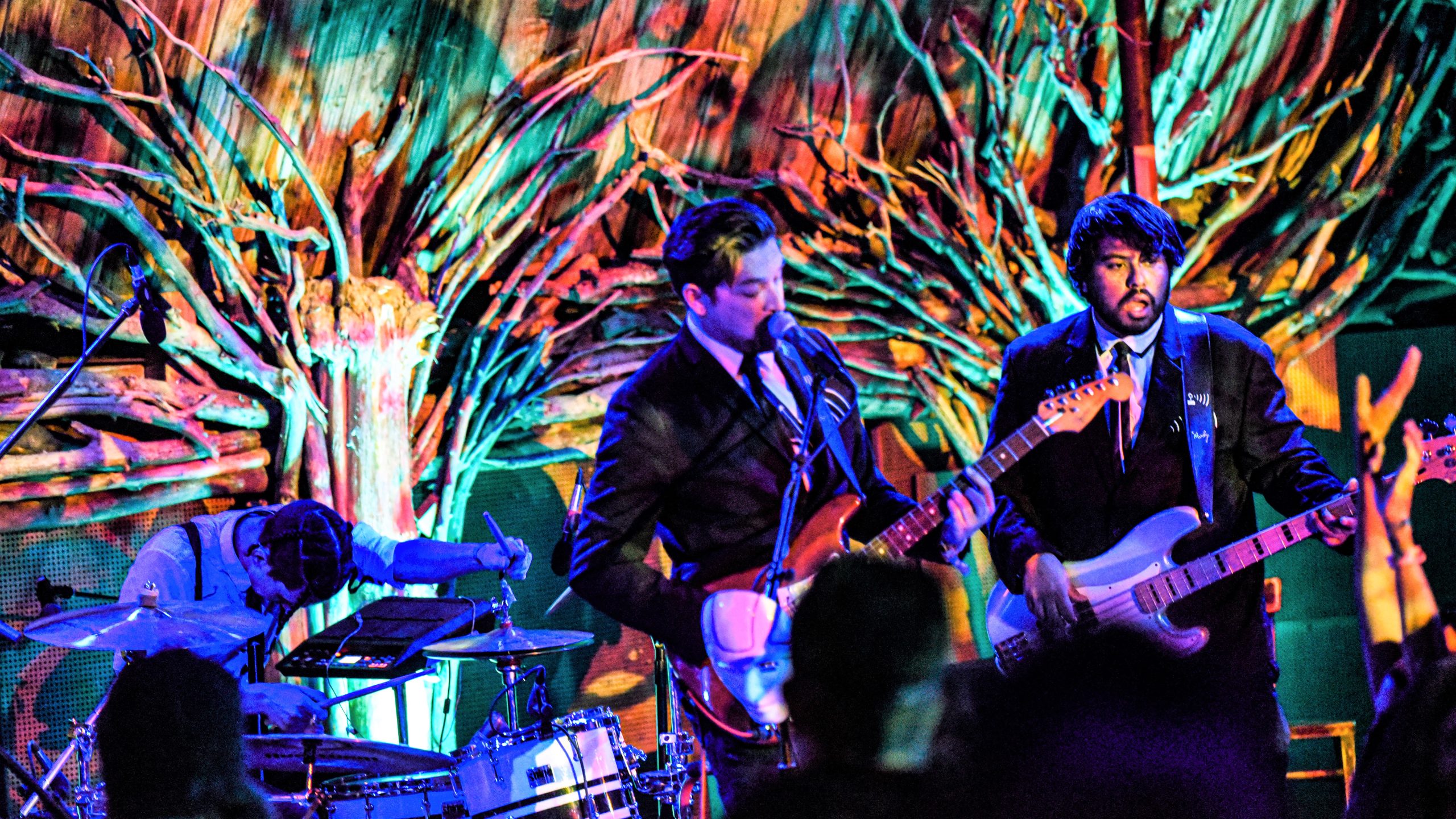 Grateful Web Interview with The Flusters