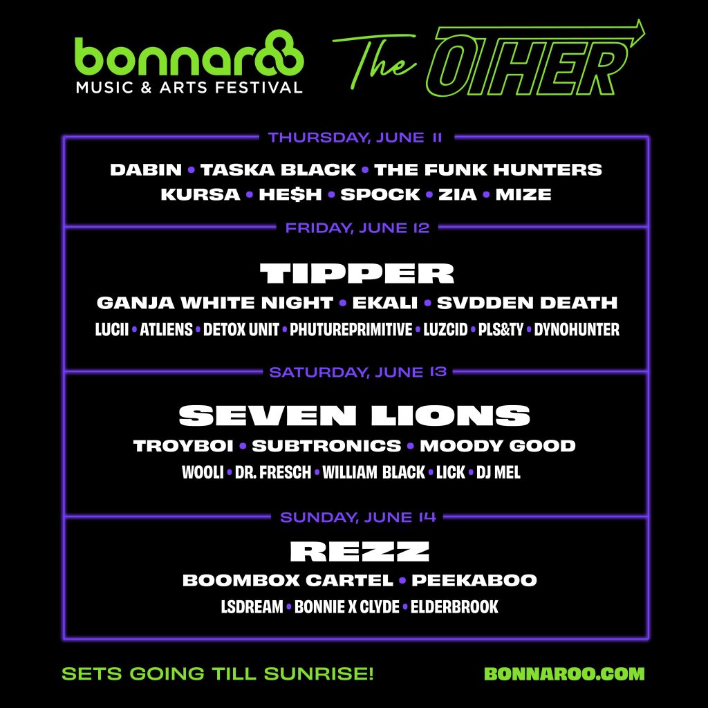 Bonnaroo unveils lineup for "The Other" stage