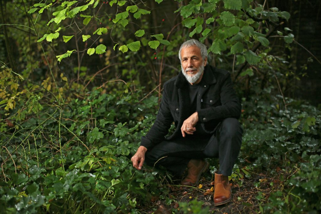 Yusuf / Cat Stevens New Album "Tea for the Tillerman2" Out Now