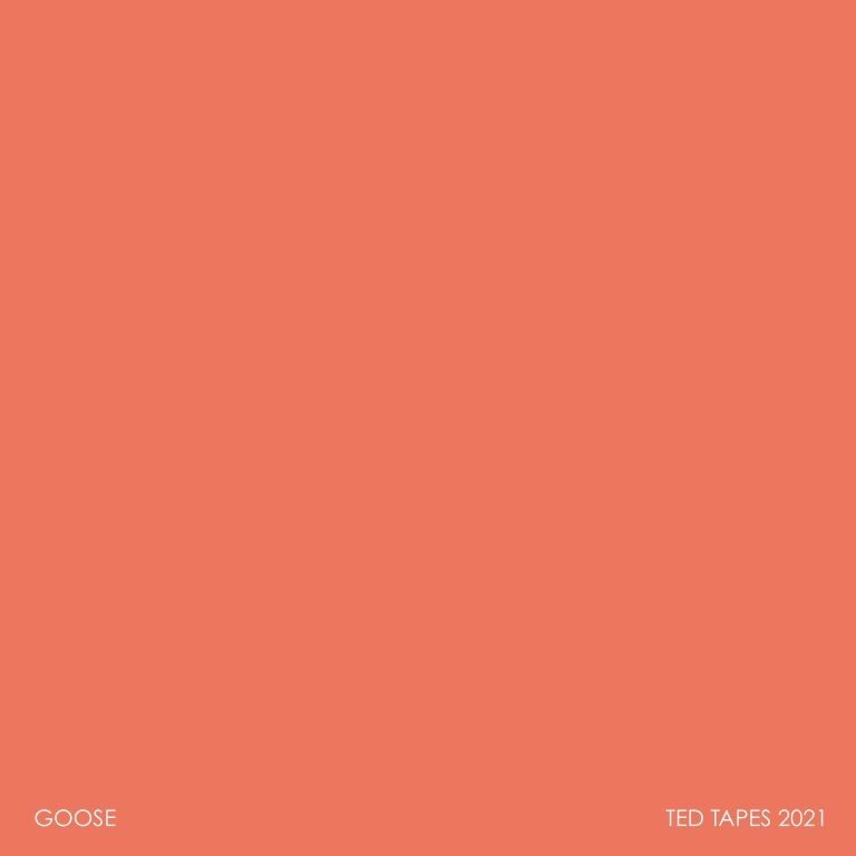 GOOSE RELEASES “TED TAPES 2021” INSTRUMENTAL ALBUM AND FULL ALBUM VISUALIZER