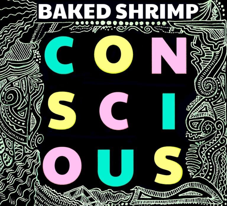 Long Island Jam Trio Baked Shrimp Releases New Studio Album, 'Conscious'