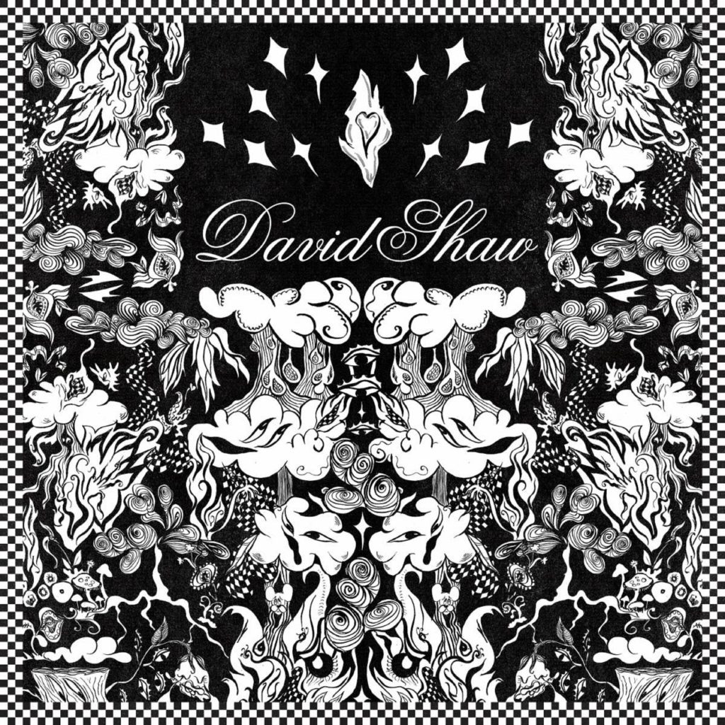 The Revivalists’ David Shaw Releases Debut Self-Titled Solo Album