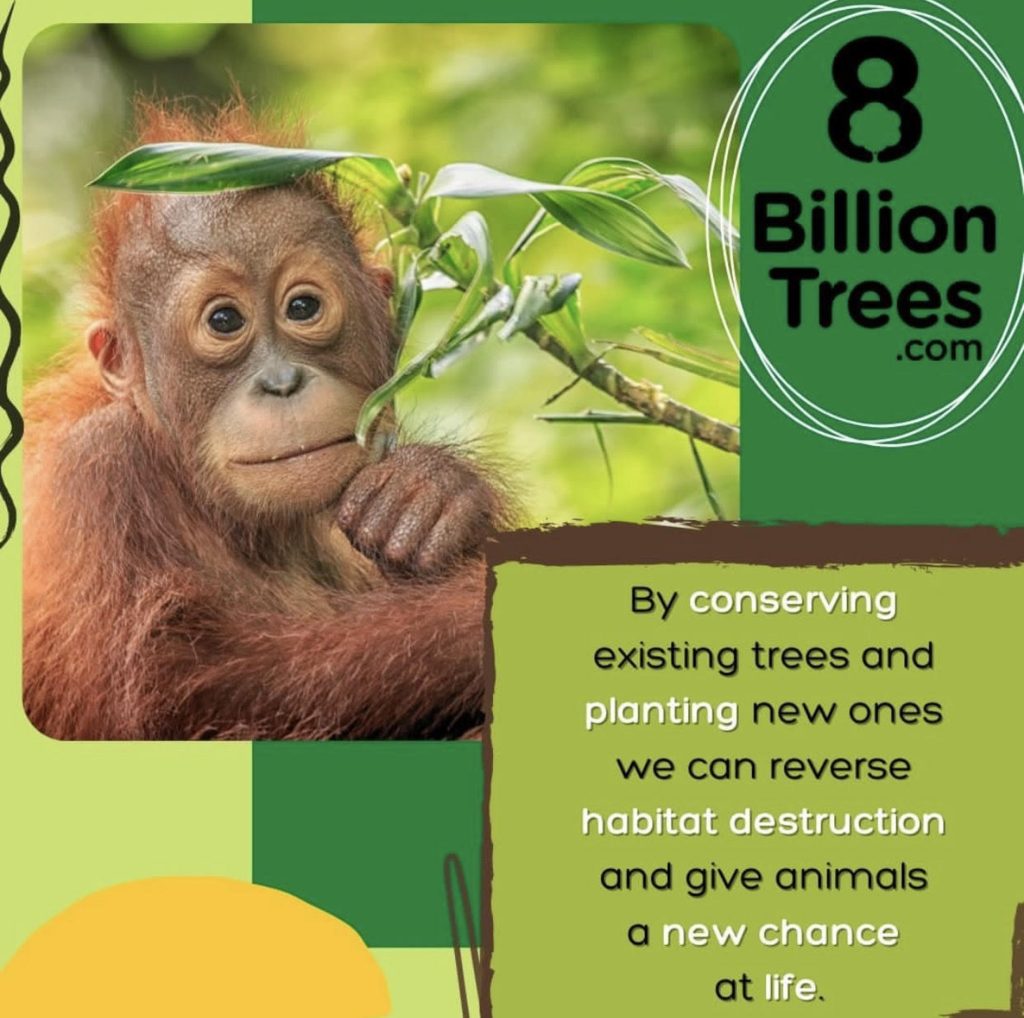 Get to know your Carbon & Ecological Footprint today and start making a difference