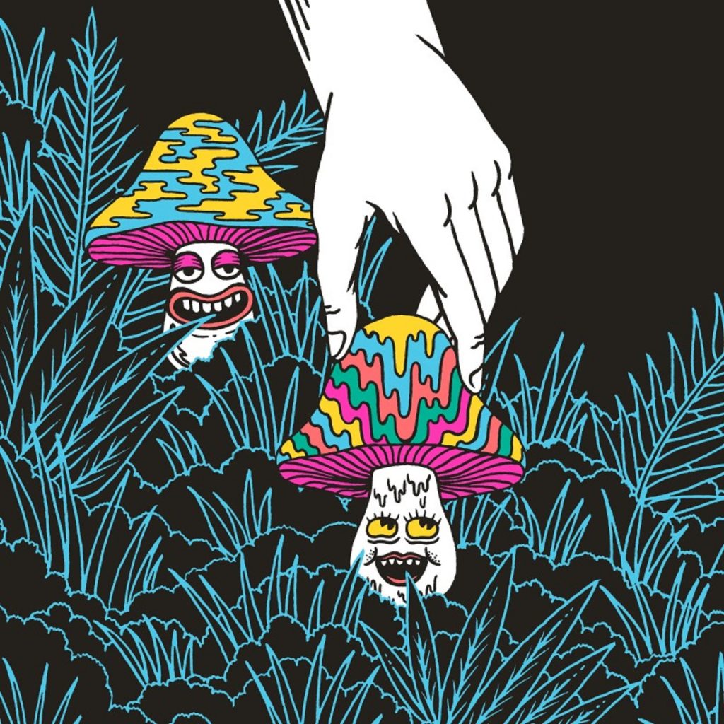 INTRODUCING IN AND OUT OF THE GARDEN: MADISON SQUARE GARDEN '81, '82, '83