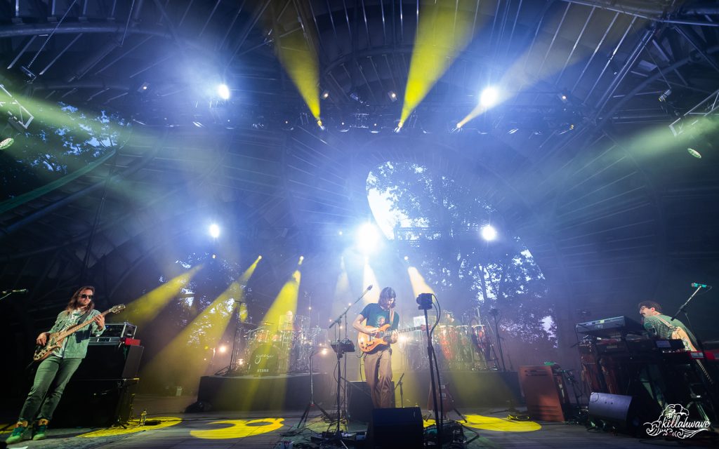 Goose | The Chrysalis at Merriweather Park | 8/12/2022