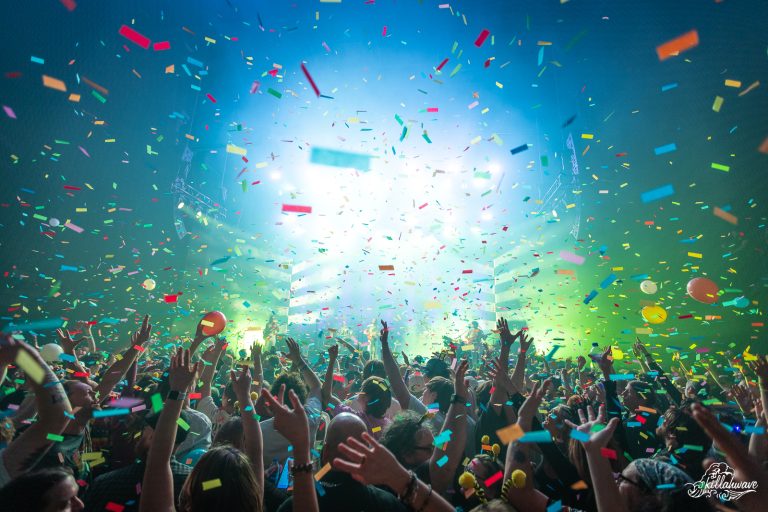 Goose | Andrew J Brady Center | 12/31/2022