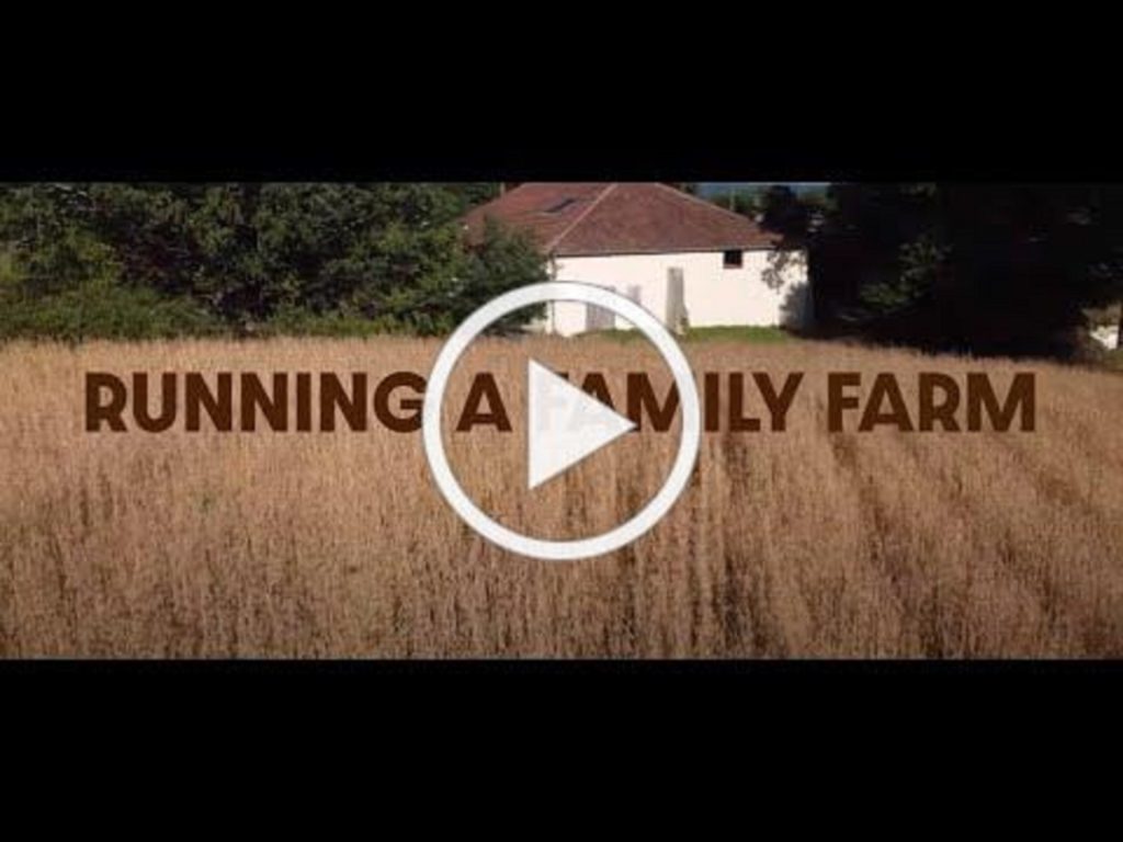 French rock farmers The Inspector Cluzo share intimate documentary 'Running A Family Farm'