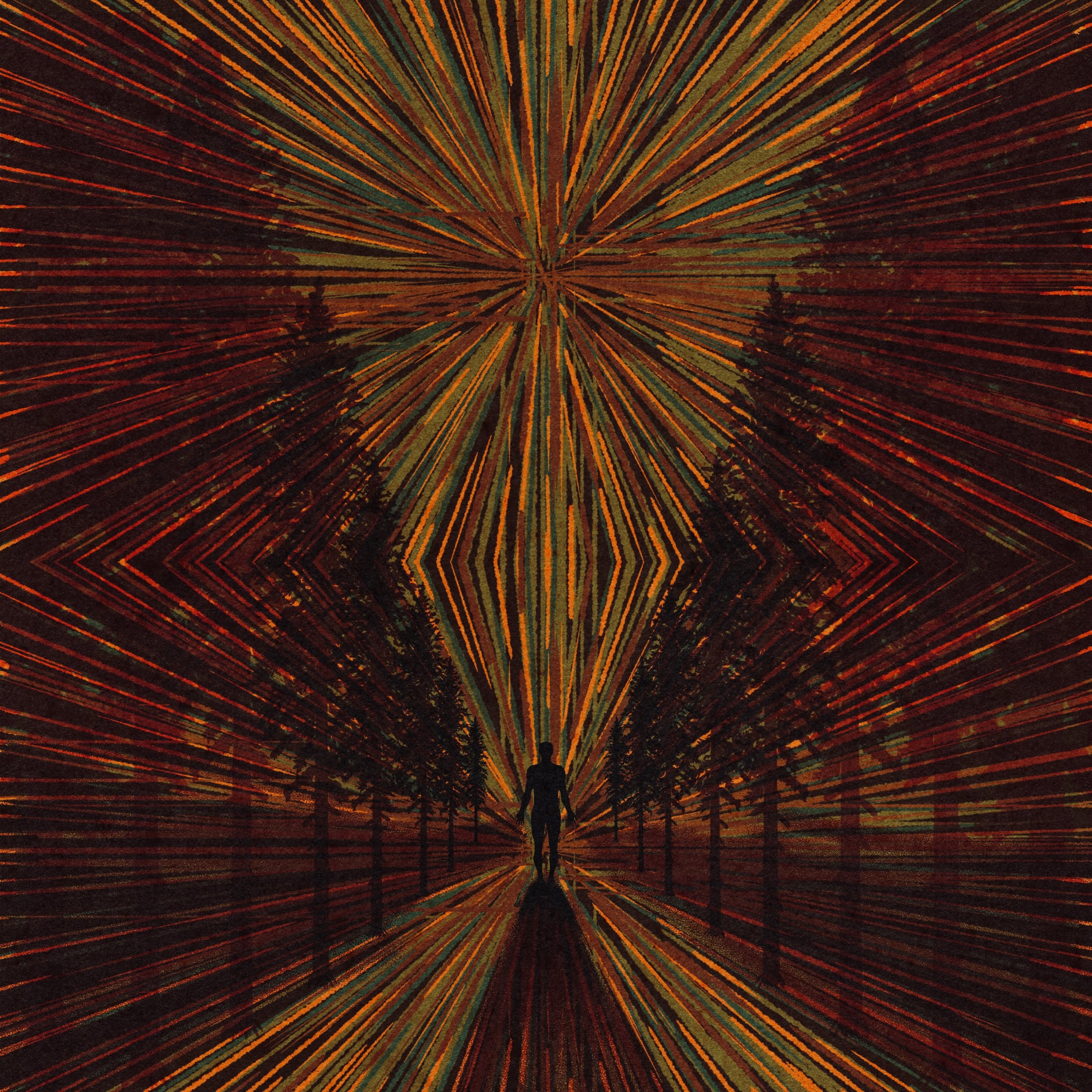 MORNING BEAR RELEASES NEW SINGLE: “SPLITTING OF THE WOOD”