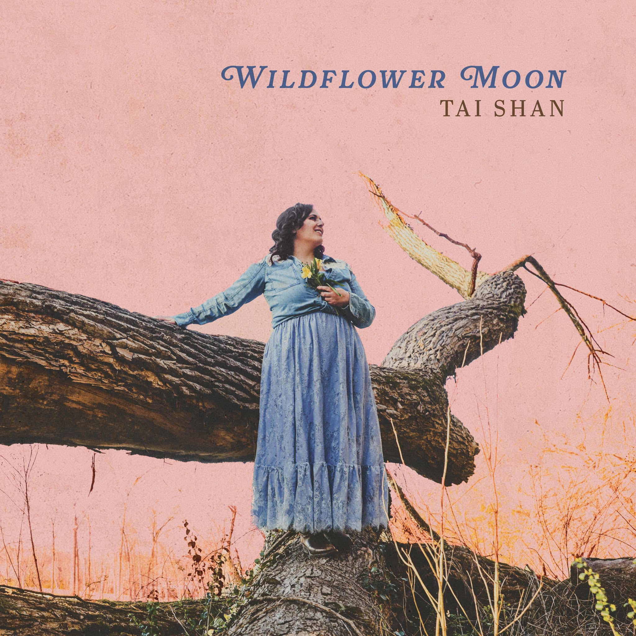 Nashville's Tai Shan Releases New Album, Wildflower Moon
