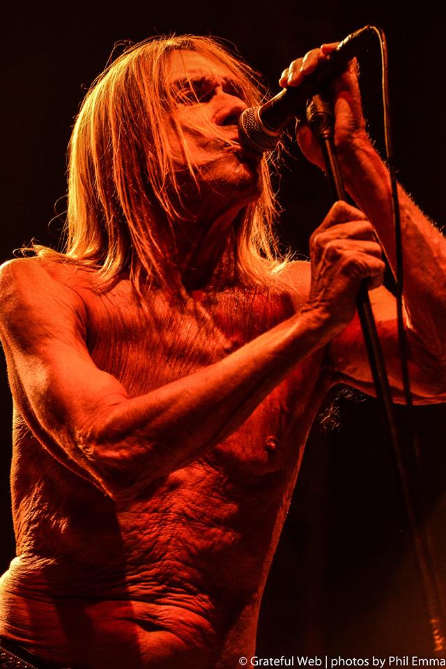 Iggy Pop