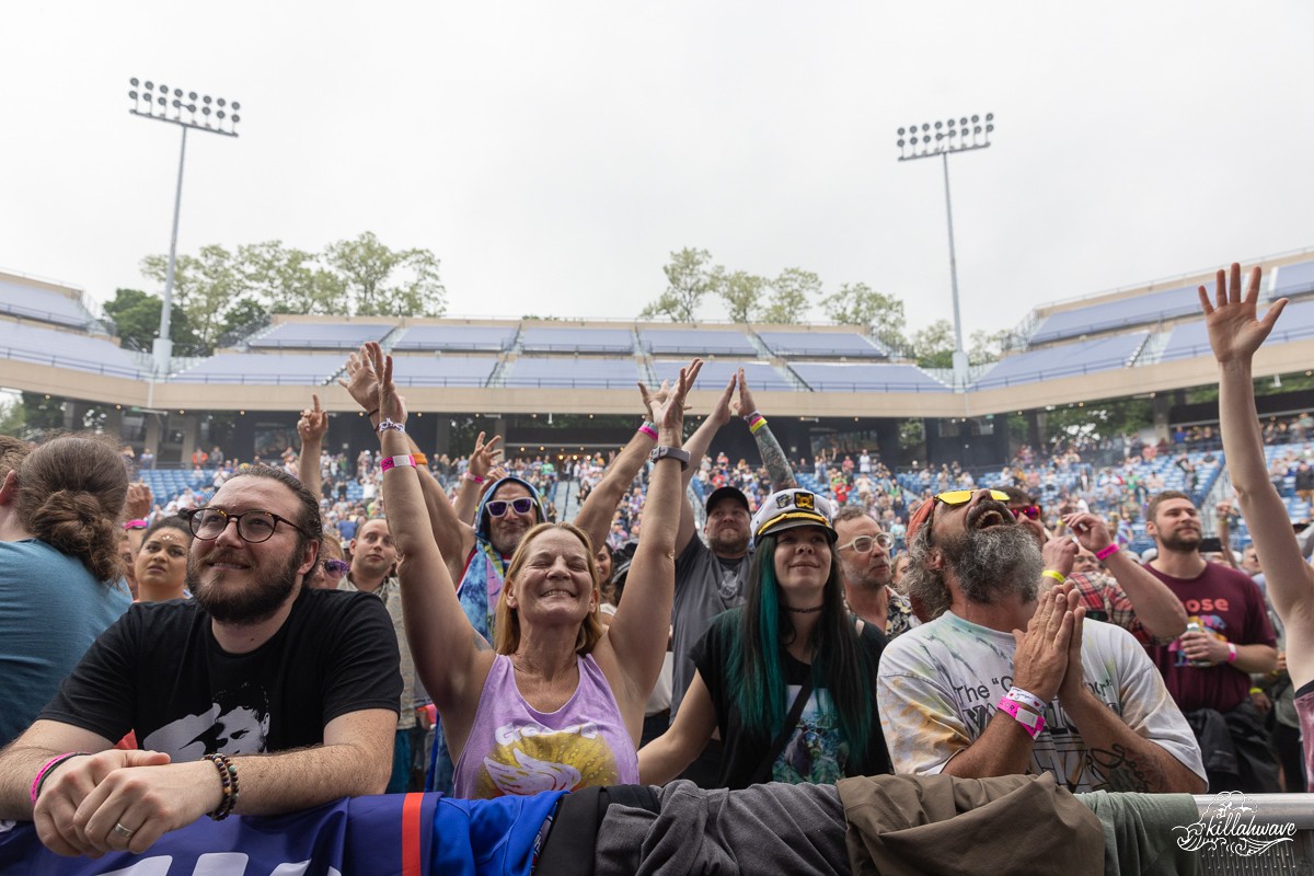 Fans loving the show | Goose