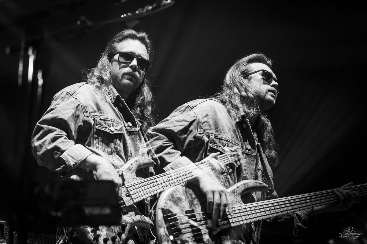 Bassist Trevor Weekz | Goose