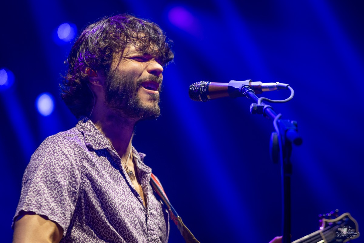 Guitarist Rick Mitarotonda | Goose