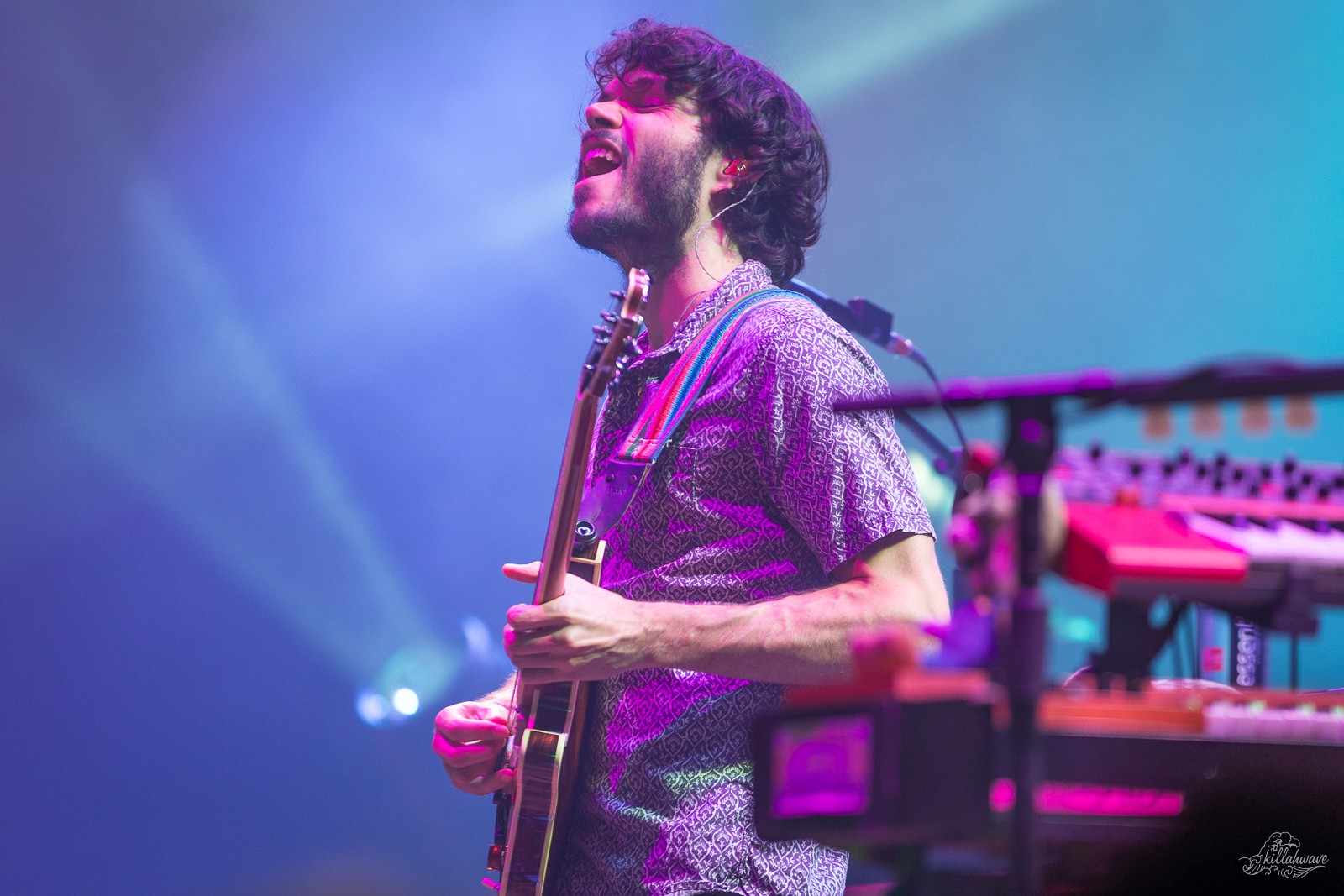 Guitarist Rick Mitarotonda | Goose