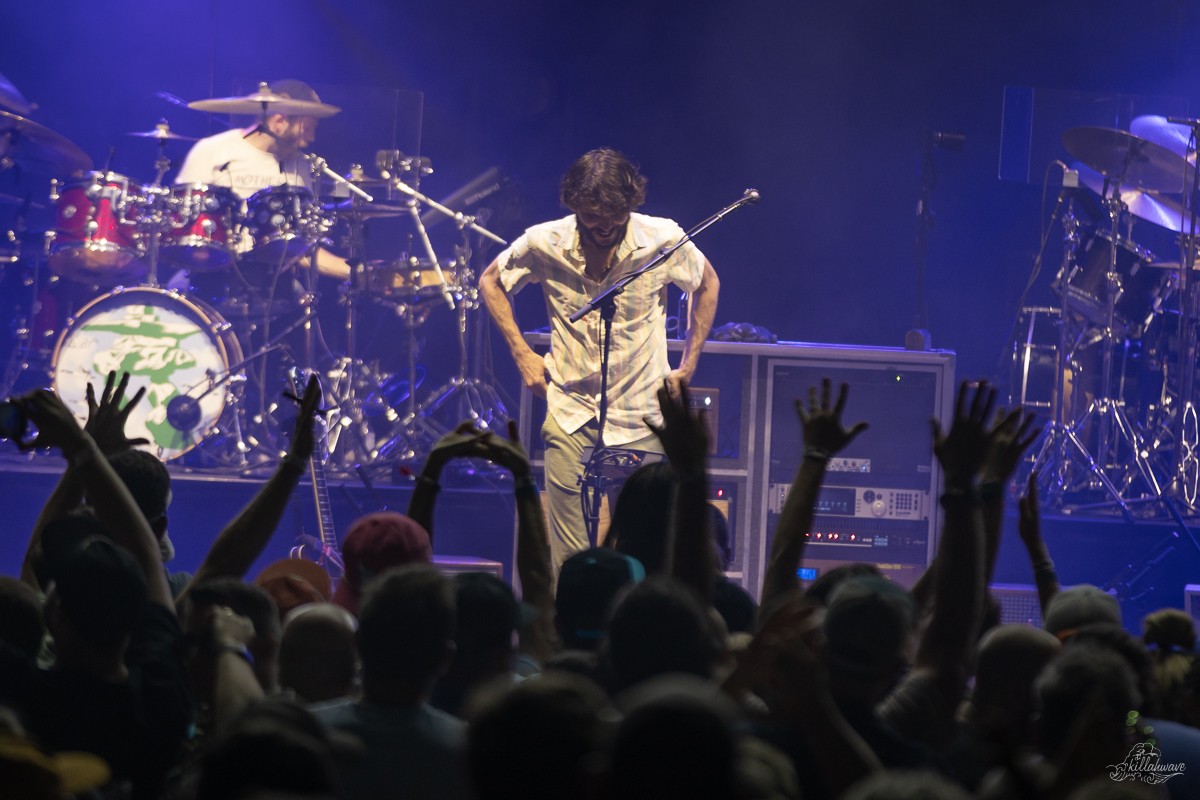 Goose | Philadelphia, PA