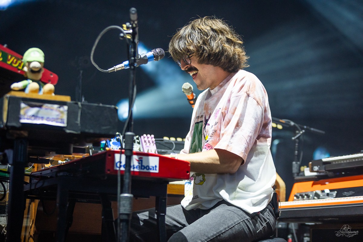 Multi-instrumentalist Peter Anspach | Goose