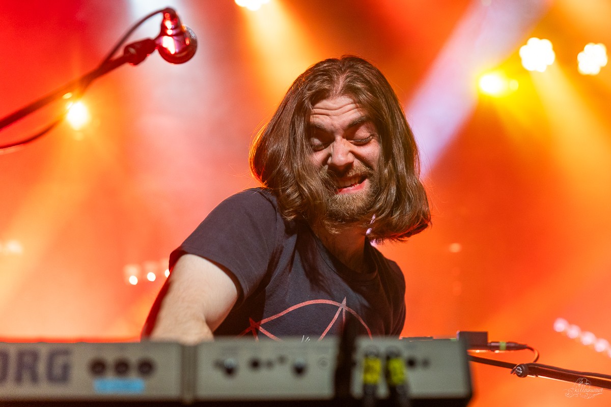 Keyboardist Jeremy Kaplan | Dogs in a Pile