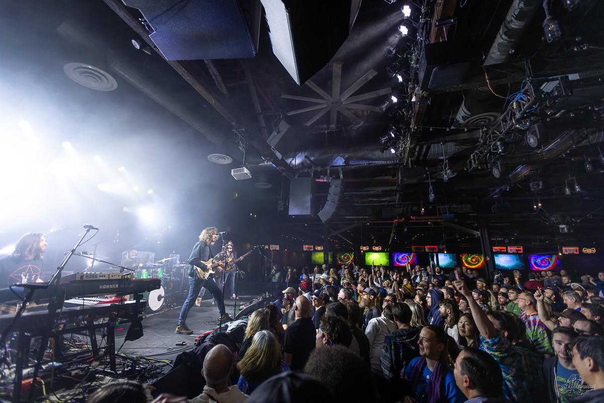 Dogs in a Pile | Brooklyn Bowl