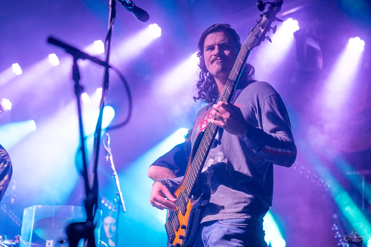 Bassist Sam Lucid | Dogs in a Pile