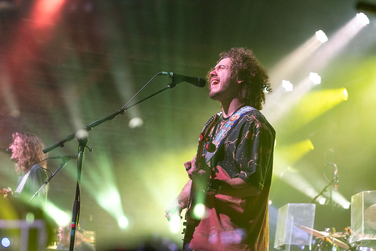 Guitarist Jimmy Law | Dogs in a Pile