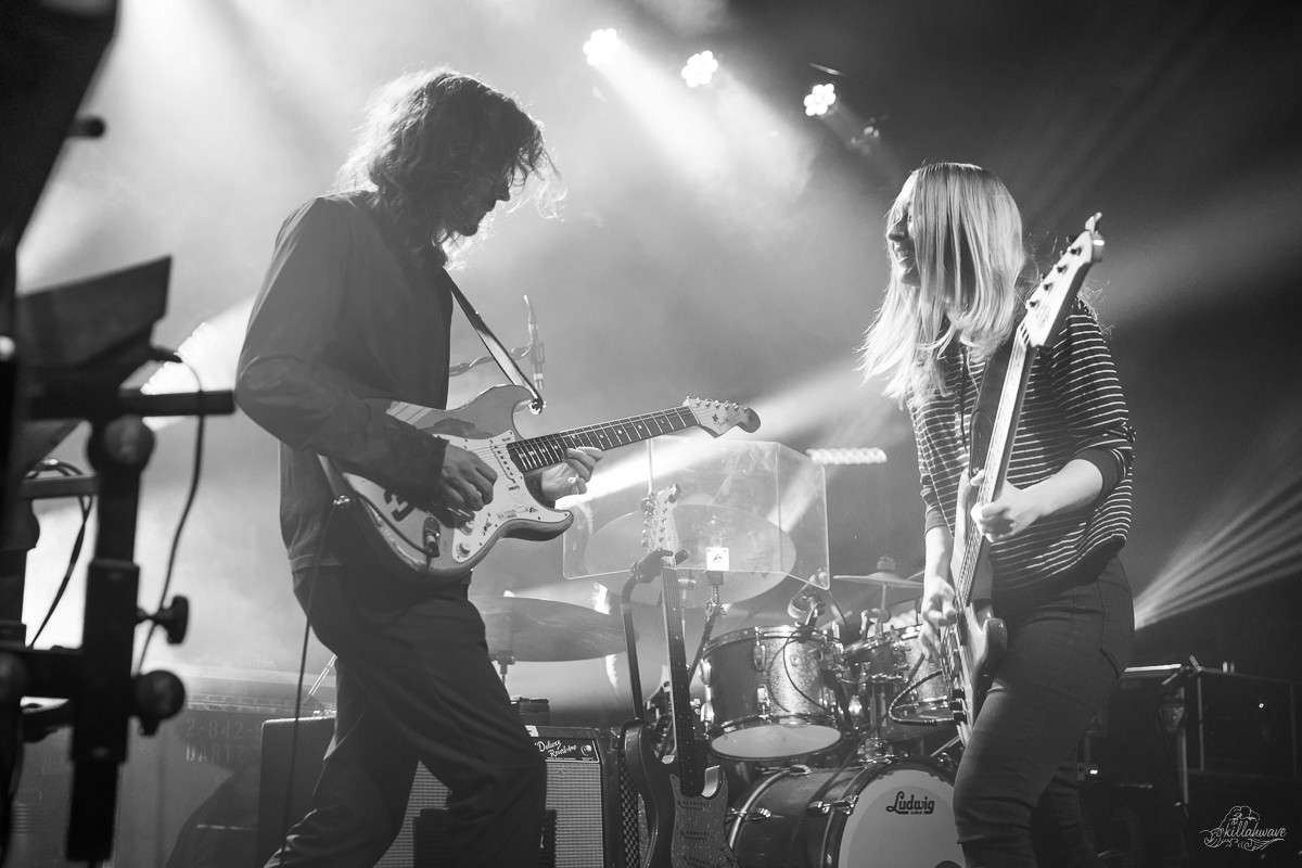 Dogs in a Pile | Brooklyn Bowl