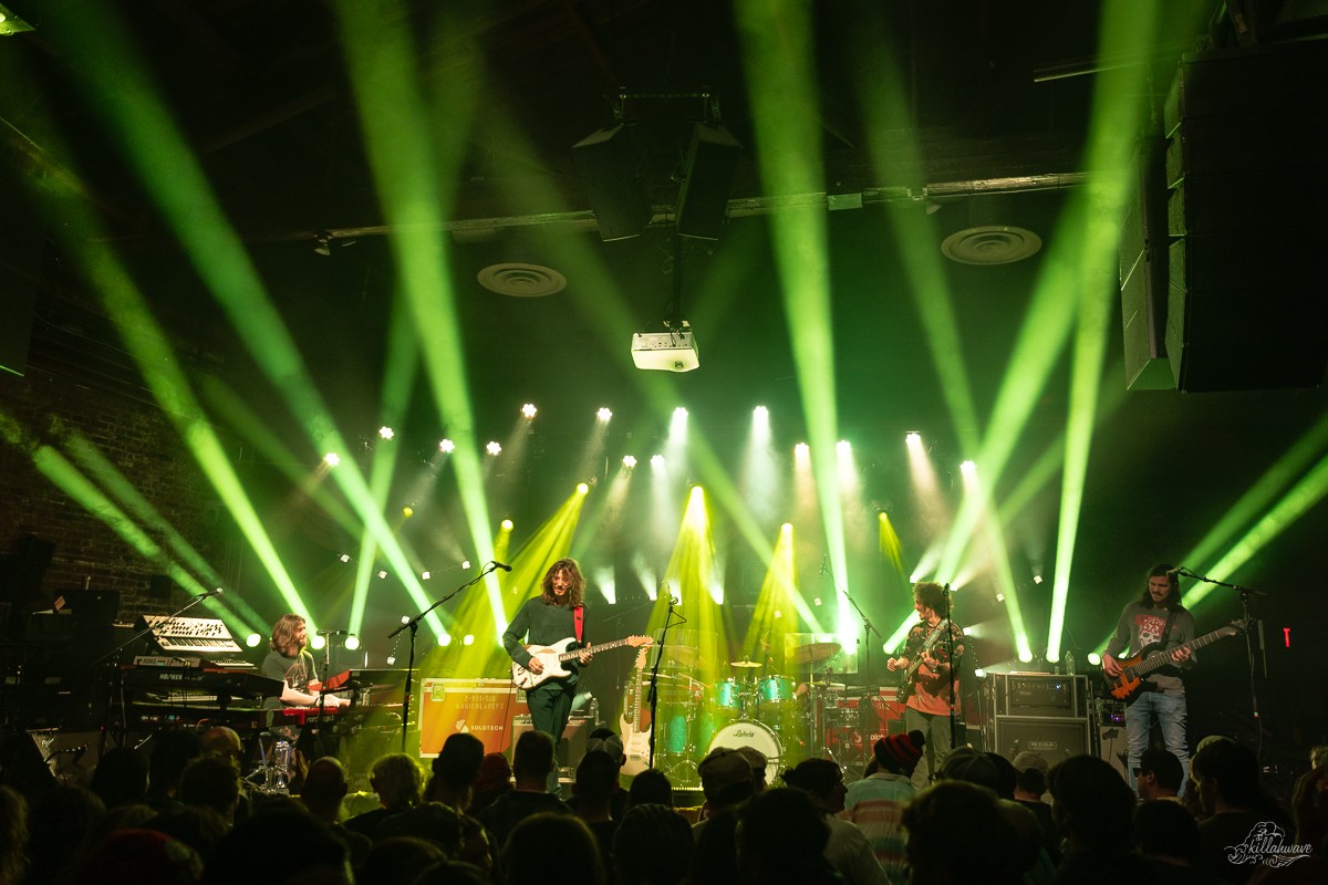 Dogs in a Pile | Brooklyn Bowl