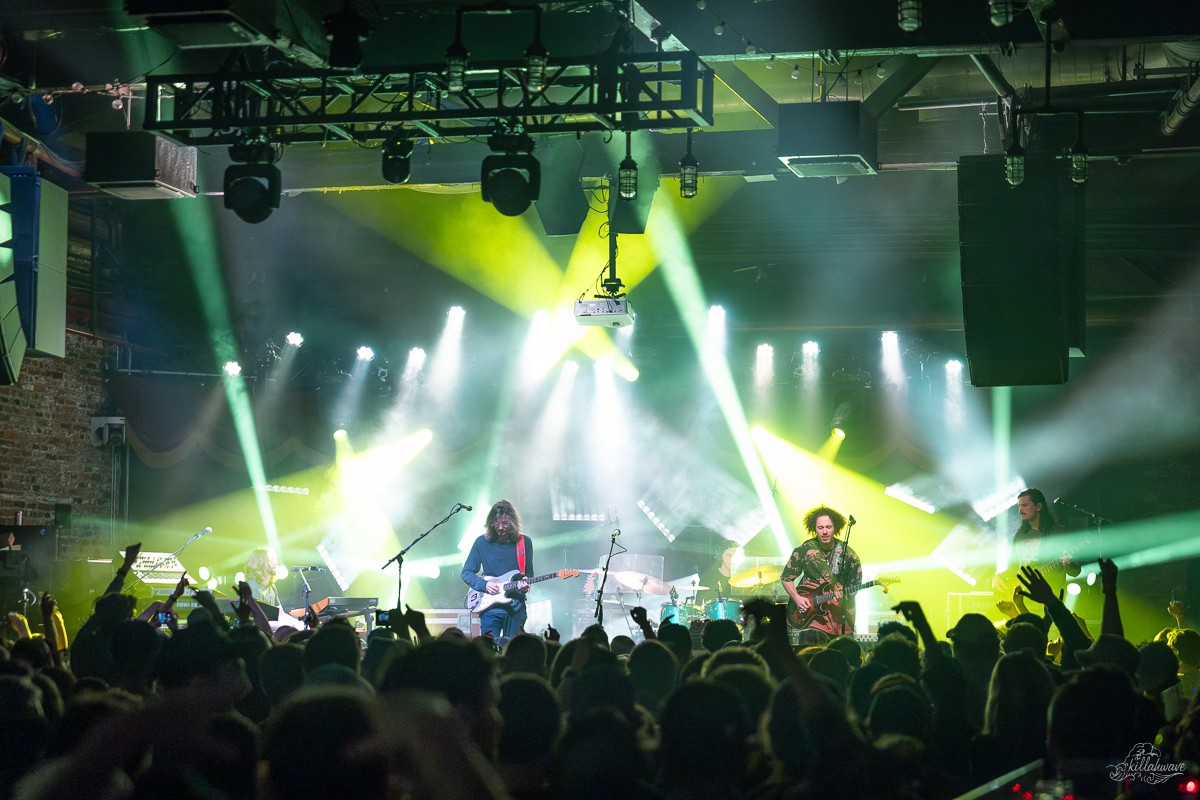 Dogs in a Pile | Brooklyn Bowl