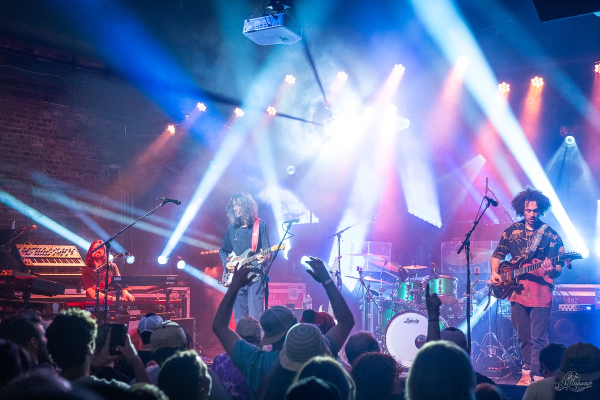 Dogs in a Pile | Brooklyn Bowl