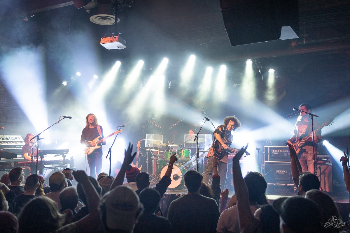 Dogs in a Pile | Brooklyn Bowl