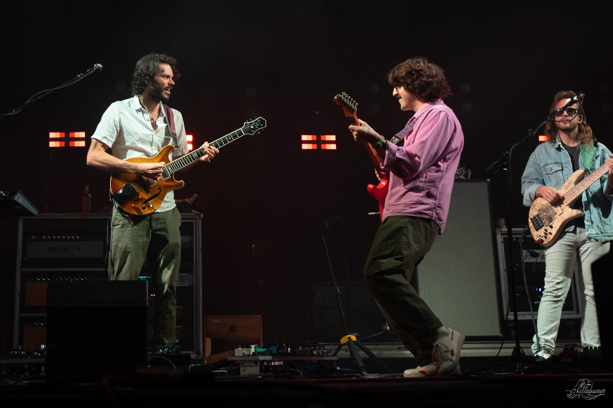 Goose | Viva El Gonzo