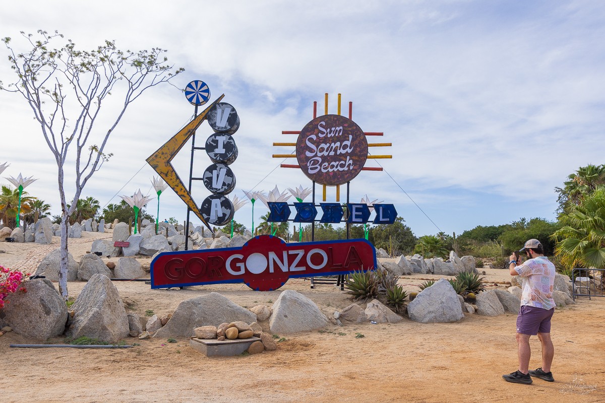 Viva El Gonzo | San Jose Del Cabo, Mexico