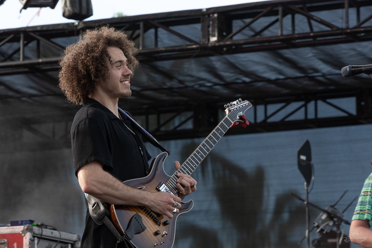 Guitarist Jimmy Law | Dogs in a Pile