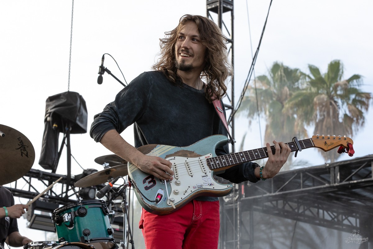 Guitarist Brian Murray | Dogs in a Pile