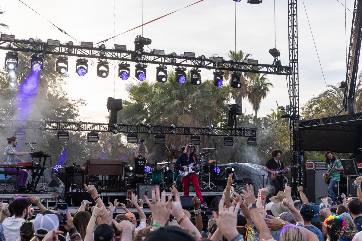 Dogs in a Pile | Viva El Gonzo